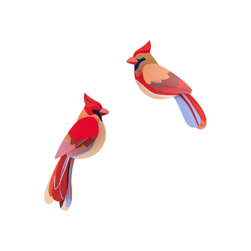 Studio Roof wanddecoratie vogels Cardinals